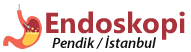 Endoskopi Pendik Logo